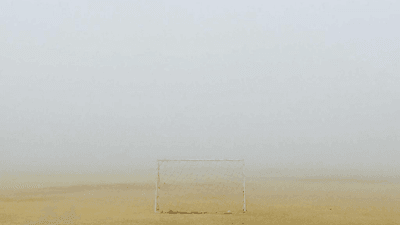 Carving - professional stock photography