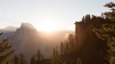 Carving - professional stock photography