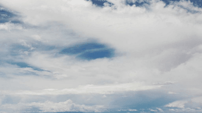 Carving - professional stock photography