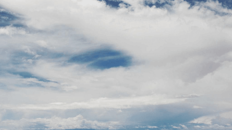 Carving - professional stock photography