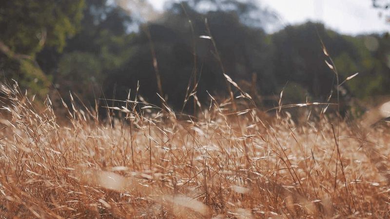Drill - professional stock photography