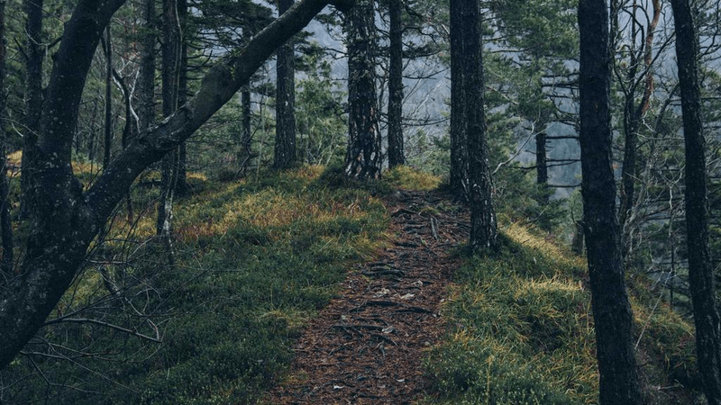 Fabric - professional stock photography