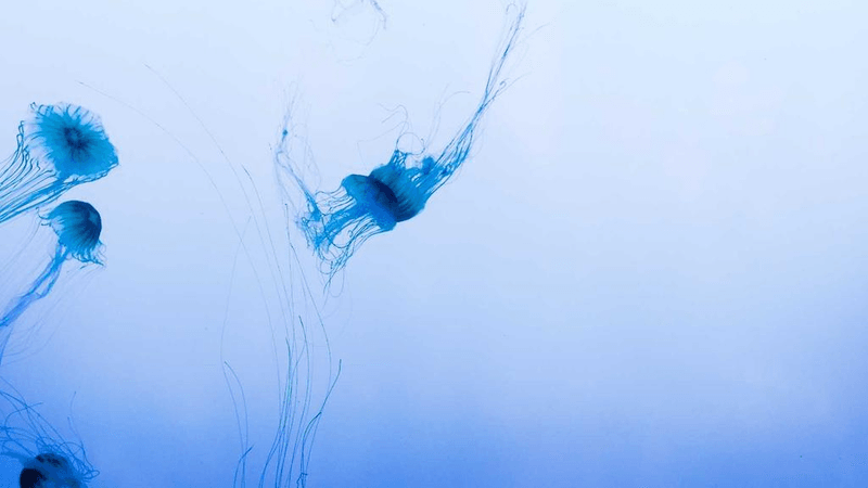 Fabric - professional stock photography