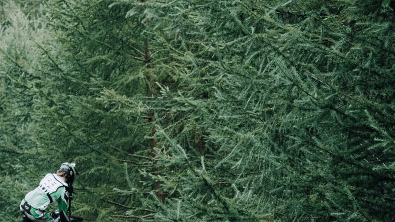 Glue - professional stock photography