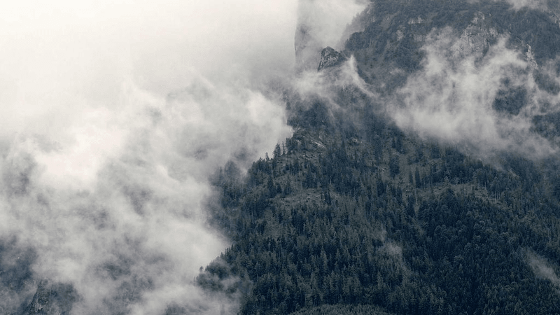 Hammer - professional stock photography