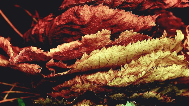 Knitting - professional stock photography