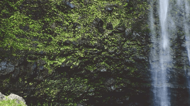 Measure - professional stock photography