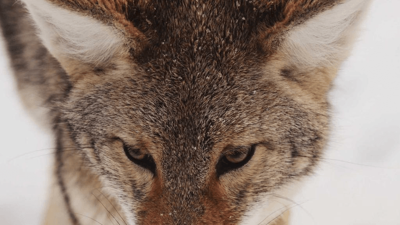 Painting - professional stock photography