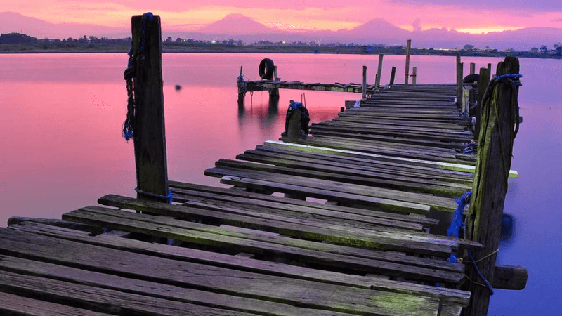 Painting - professional stock photography