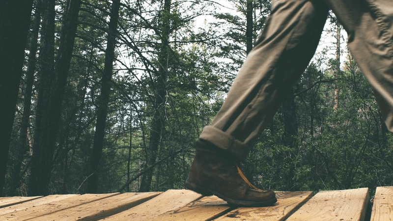 Plywood - professional stock photography