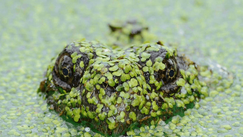 Sand - professional stock photography