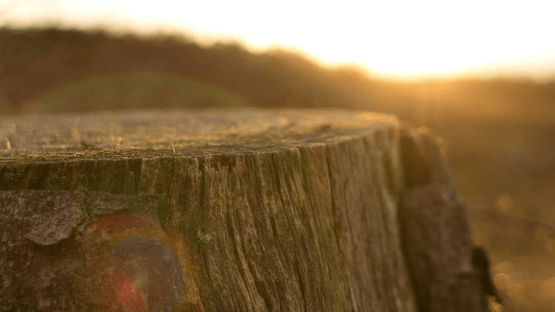 Sand - professional stock photography