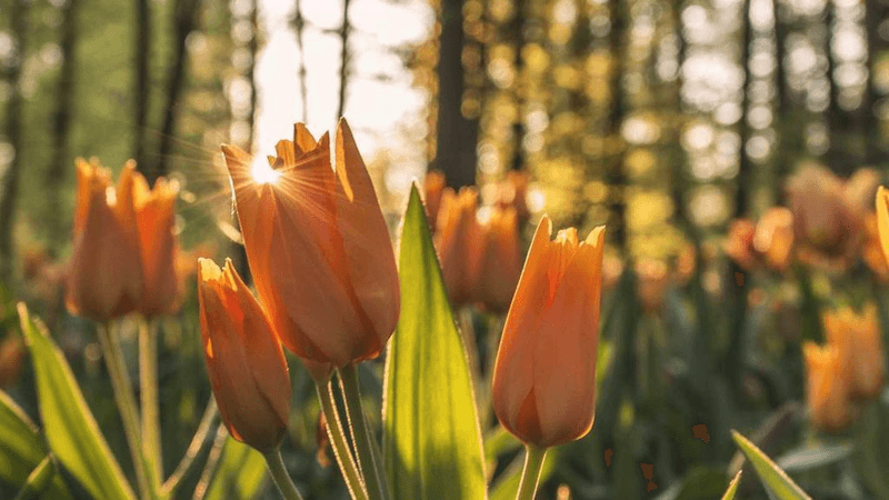 Sand - professional stock photography