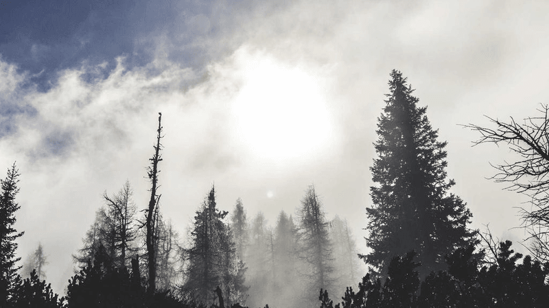 Saw - professional stock photography