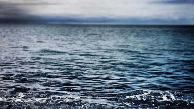 Saw - professional stock photography