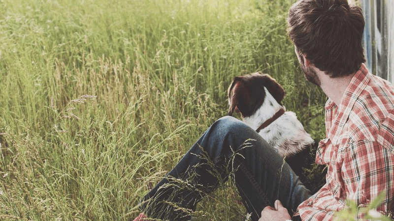 Screws - professional stock photography