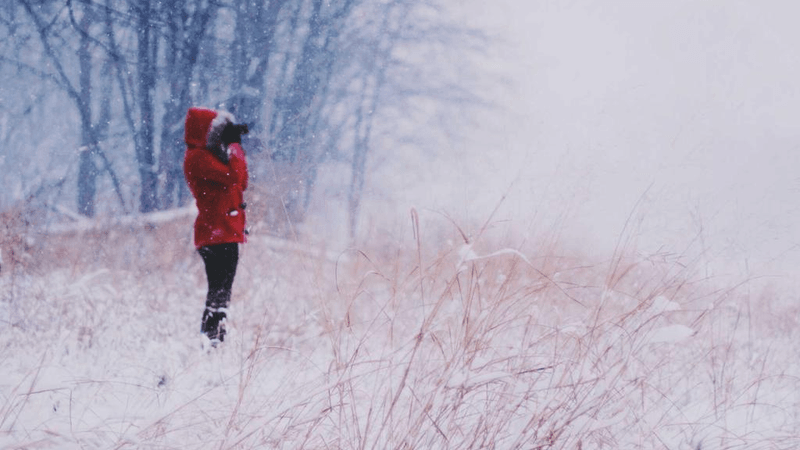 Screws - professional stock photography