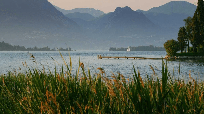 Screws - professional stock photography