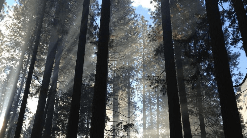 Sewing - professional stock photography