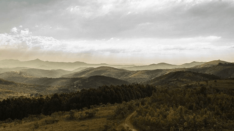 Tape - professional stock photography