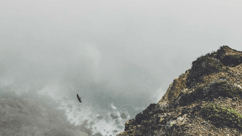 Tape - professional stock photography