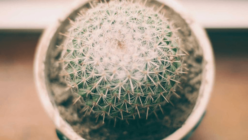 Woodwork - professional stock photography