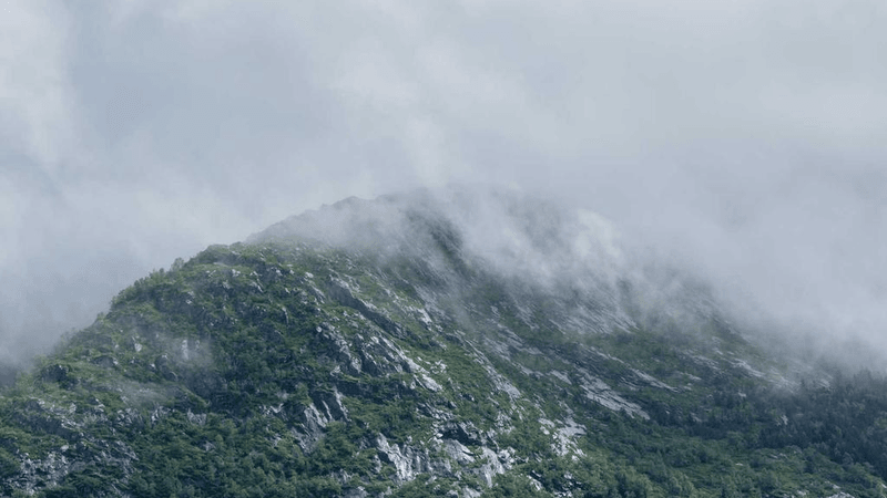 Woodwork - professional stock photography