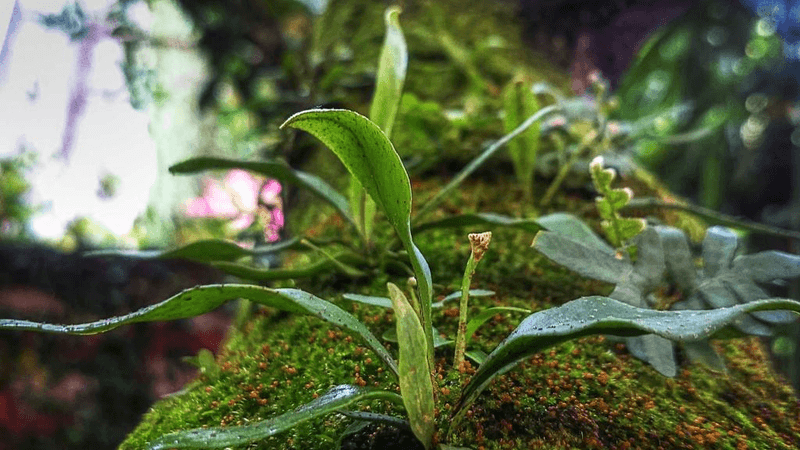 Woodwork - professional stock photography
