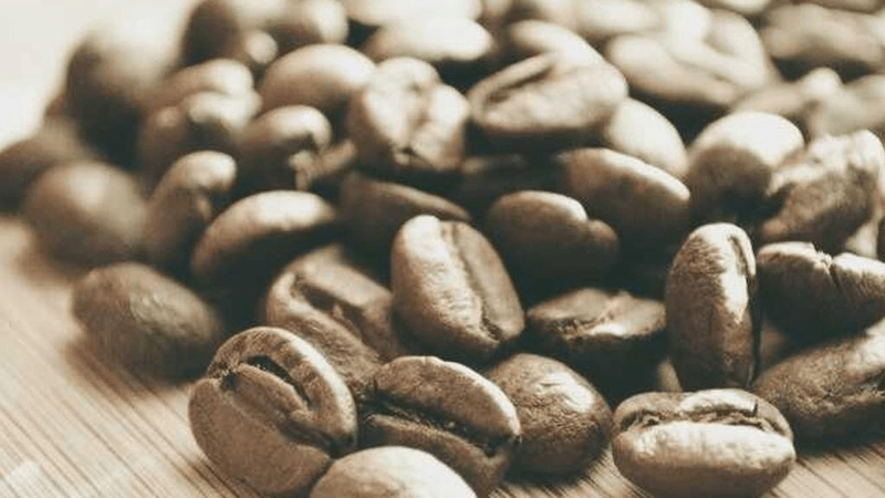 Workshop - professional stock photography