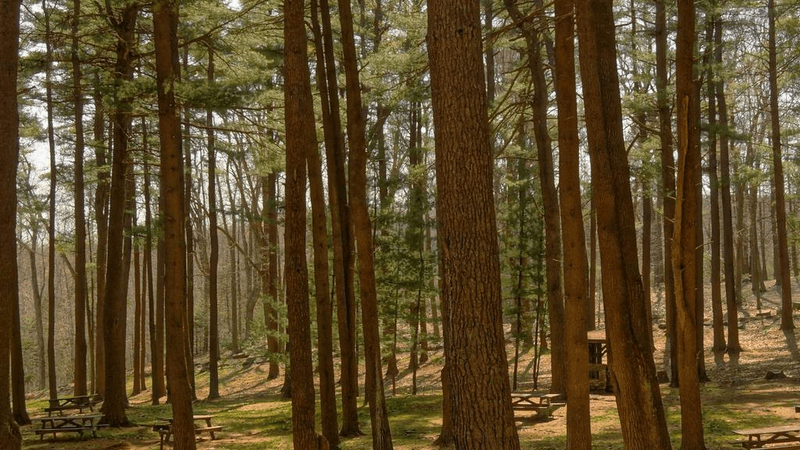 Workshop - professional stock photography