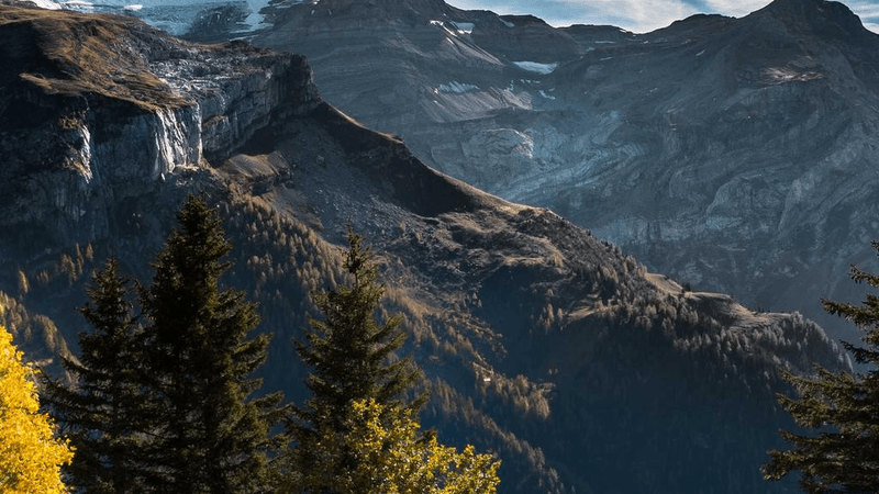 Workshop - professional stock photography